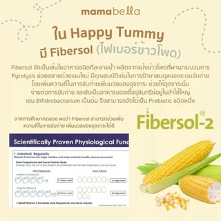 (2 กล่อง) Mamabella แฮปปี้ ทัมมี่ ไฟเบอร์ ไฟเบอร์ธรรมชาติสำหรับเด็กและแม่ตั้งครรภ์ ท้องผูก HAPPY TUMMY FIBER มามาเบลล่า