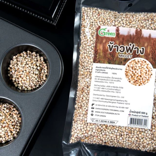 Dr.Green: ข้าวฟ่าง (Millets) 500 กรัม นำไปหุงทานได้ ปลอดสาร คัดเกรด มีอย.ถูกต้อง