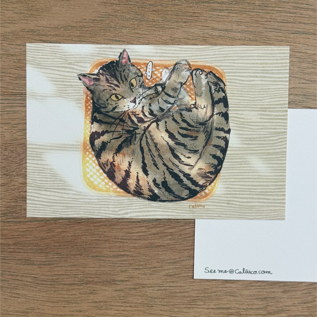 Postcard cat โปสการ์ดแมวนอนตระกร้า