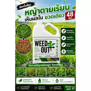 🌿 WEEDOUT กำจัดหญ้าครบวงจร ขนาด 1,000ml. ส่งฟรี ของแท้ ตัวจบทุกปัญหาหญ้ารก ช่วยให้แปลงสะอาดพร้อมสร้างผลผลิต ของเเท้