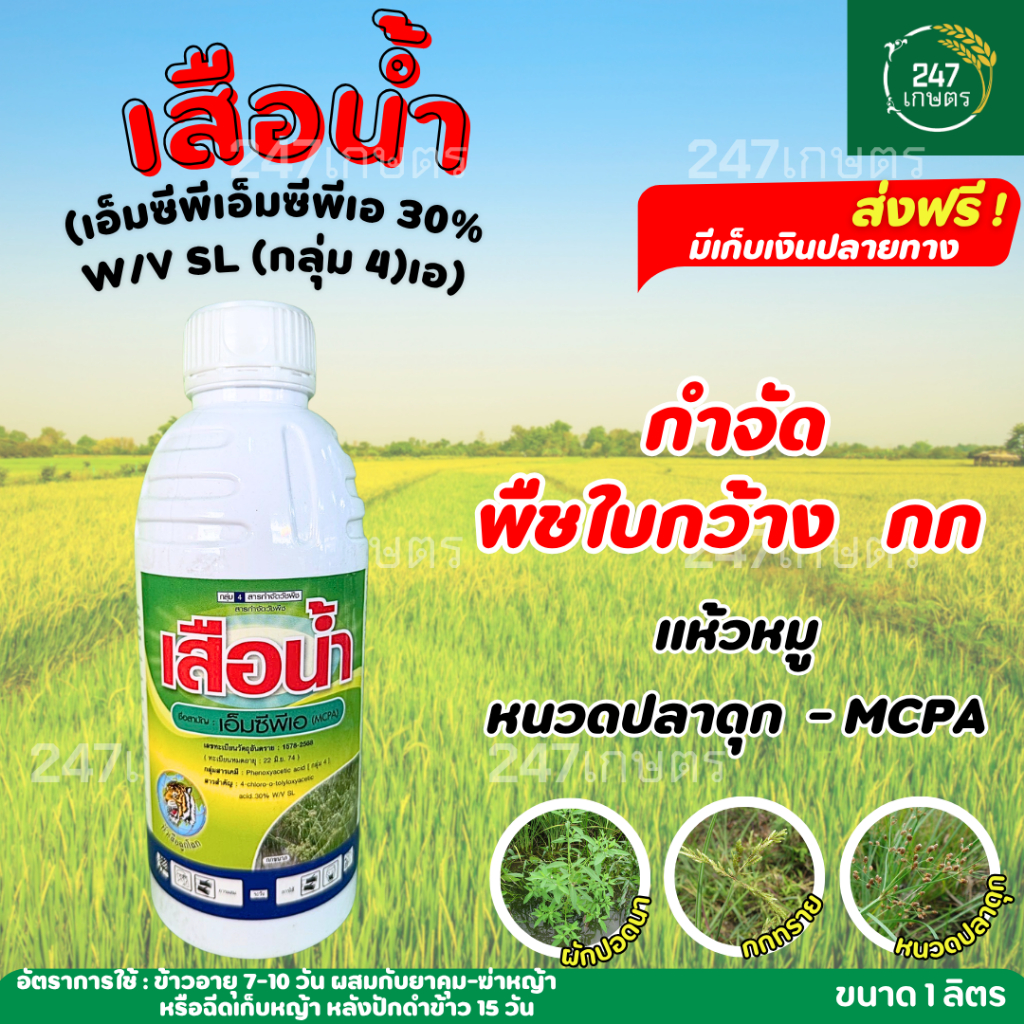 เสือน้ำ (เอ็มซีพีเอ) 1 ลิตร ตราหัวเสือลูกโลก กำจัดพืชใบกว้าง กก แห้วหมู หนวดปลาดุก - MCPA -
