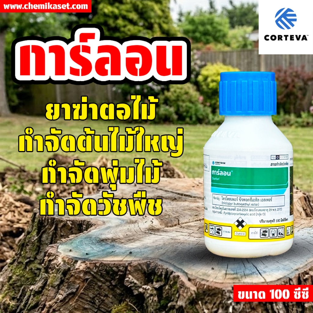 ยาฆ่าตอ การ์ลอน 100 ซีซี กำจัดตอไม้ ยาฆ่าตอไม้ ยาฆ่ากระถิน ต้นไม้ใหญ่ทุกชนิด ฆ่าตอ ส่งเร็ว