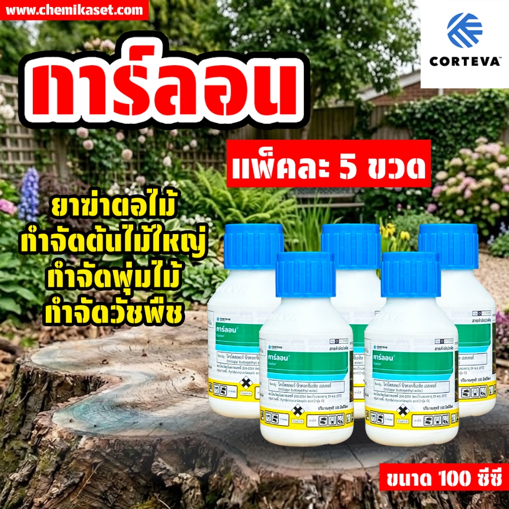*แพ็ค5ขวด* ยาฆ่าตอ การ์ลอน 100 ซีซี กำจัดตอไม้ ฆ่าตอไม้ ยาฆ่ากระถิน ต้นไม้ใหญ่ทุกชนิด ฆ่าตอ ส่งเร็ว