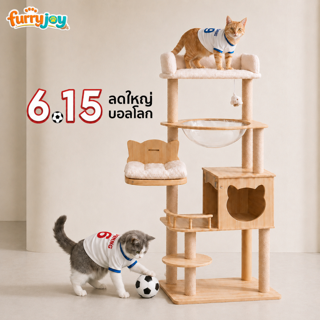 [FurryJoy] คอนโดแมวไม้ 150CM รุ่นพรีเมียม 5in1 หลุมนอนใส+บ้านแมว+เปลญวน แข็งแรง ไม่ล้ม สำหรับแมว 1-3 ตัว