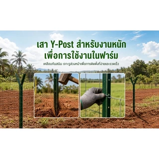 เสารั้วเหล็ก Y Post รั้วตาข่าย เหล็กหนาและทนทาน 1.3m 1.5m 1.8m