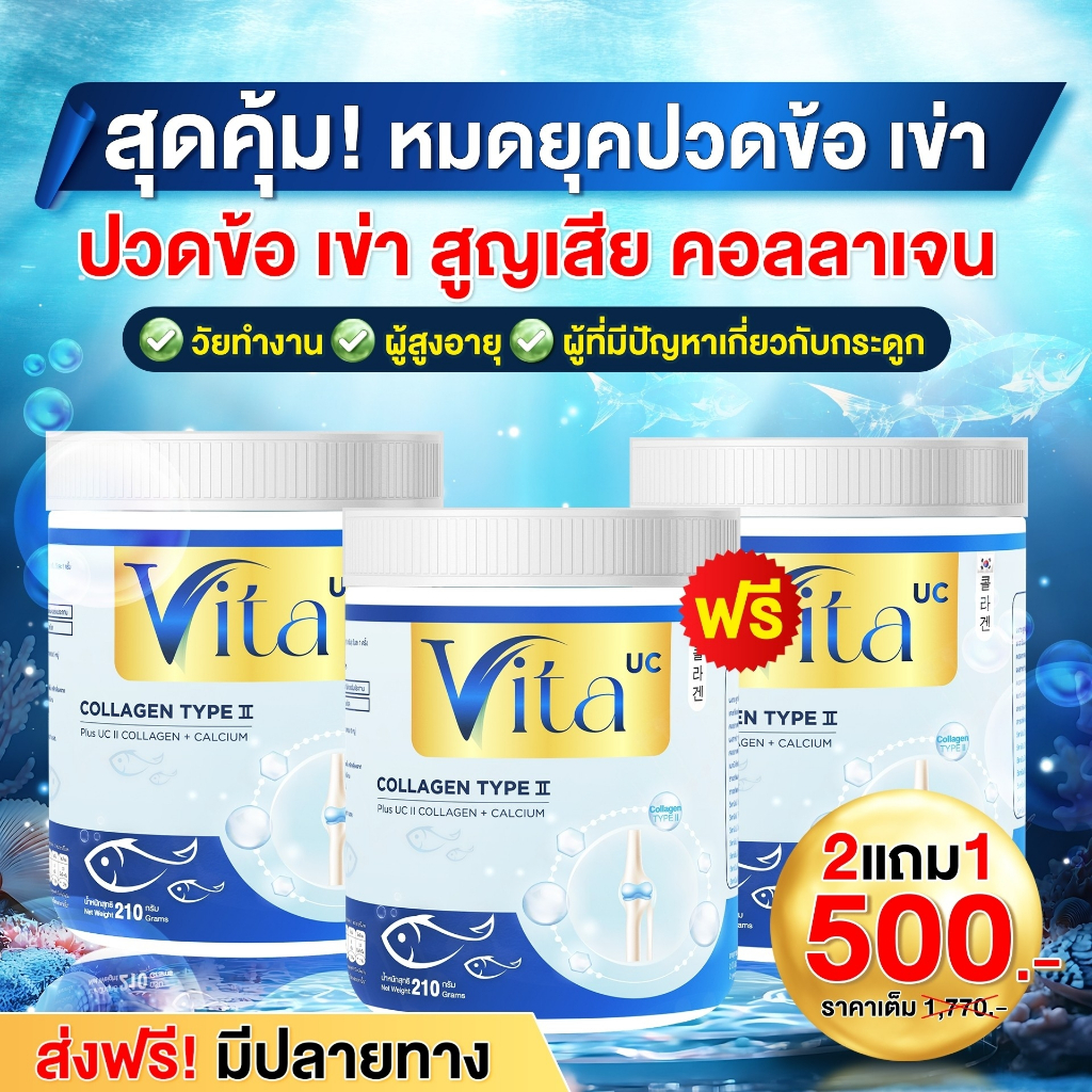 VITA COLLAGEN (210 กรัม) : สูตรเข้มข้น หยุดปวด ป้องกันสูญเสียคอลลาเจน