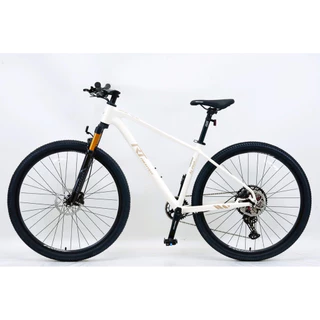 Lotใหม่New2026 จักรยานเสือภูเขา RICHTER รุ่น ALPHA ล้อ 29 นิ้ว ชุดเกียร์ SHIMANO DEORE 12 Speed รุ่นใหม่ซ่อนสายลงคอ