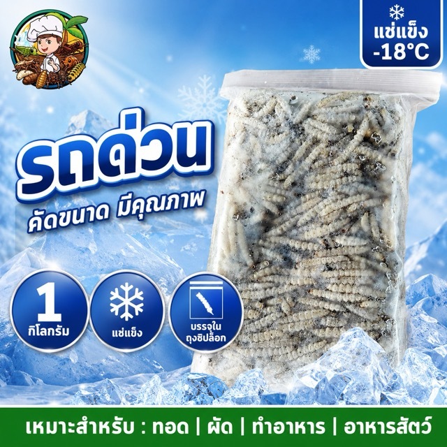 รถด่วนแช่แข็ง รถด่วนสด คัดพิเศษ สามารถนำไป ทอด คั่ว อบลมร้อน อบกรอบ อาหาร โปรตีนสูงง