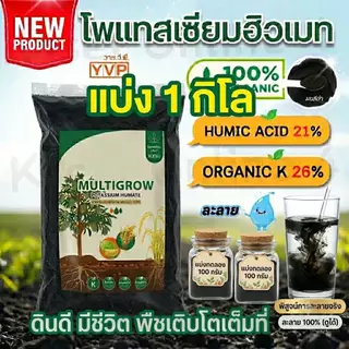 YVP แบ่ง1กก. Black Earth โพแทสเซียมฮิวเมท ผงฮิวมิกเข้มข้นละลายน้ำ ฉีดพ่นทางใบ ฟื้นฟูดิน บำรุงดิน บำรุงราก ปลอดสารเคมีธรร