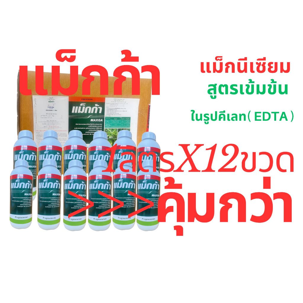 เเม็กนีเซียม 🌱🌱(แม็กก้า) สูตรเข้มข้นในรูปคีเลท( EDTA )+อะมิโน ช่วยให้ใบพืชเขียวเข้ม ธาตุอาหารรอง ธาตุเสริม 1x12ขวด
