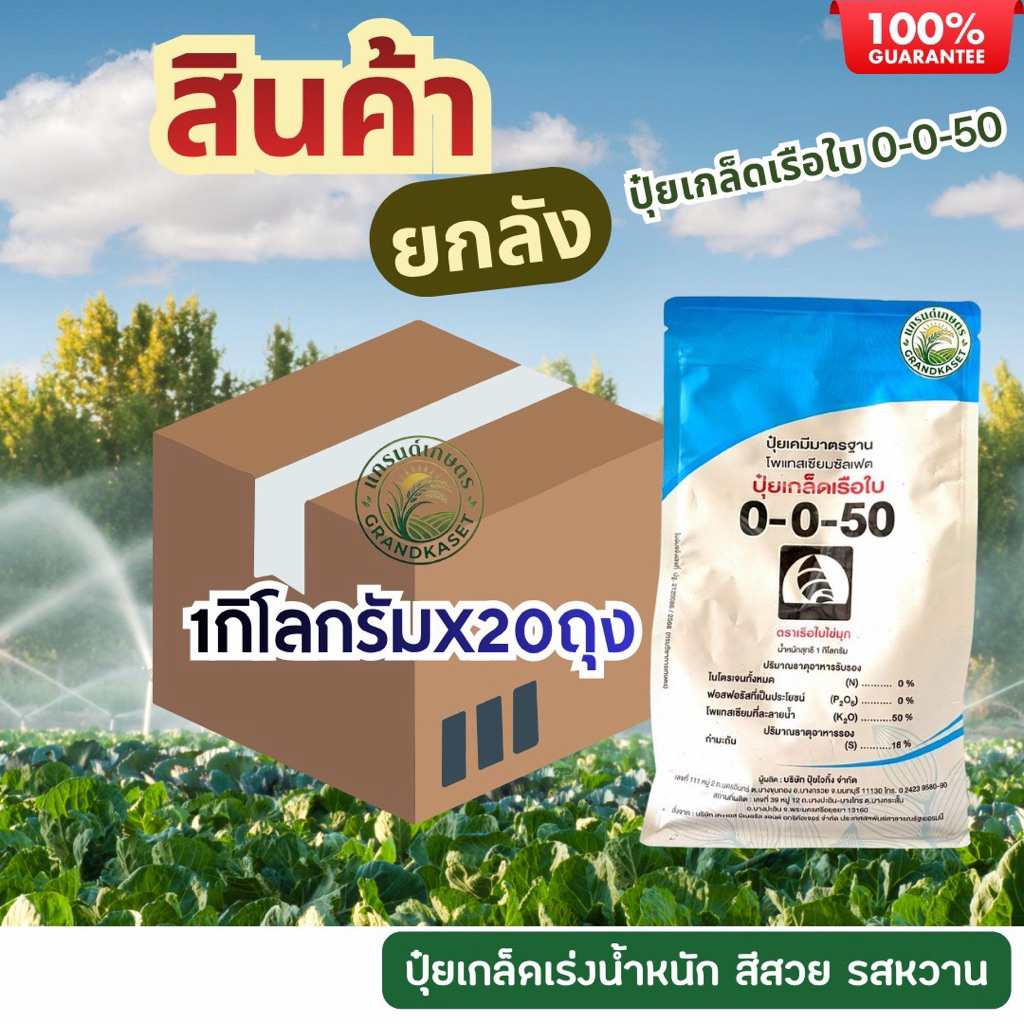 (ยกลัง20กก.)ปุ๋ยเกล็ดเรือใบ0-0-50 เร่งน้ำหนัก สีสวย เพิ่มความหวาน