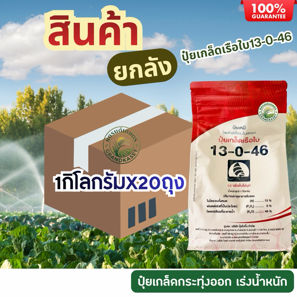 (ยกลัง20กก.)ปุ๋ยเกล็ดเรือใบ13-0-46 กระทุ่งการออกรวง เร่งน้ำหนัก เพิ่มผลผลิต