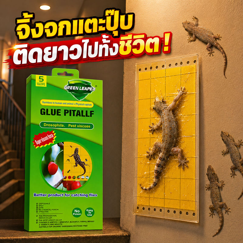 🦎ติดแน่น หนีไม่รอด!🦎กาวดักจิ้งจก กำจัดจิ้งจก 1 กล่อง 5 แผ่น ยาฆ่าจิ้งจก สารล่อจิ้งจกจากธรรมชาติบนแผ่นกาวสีเหลืองทอง