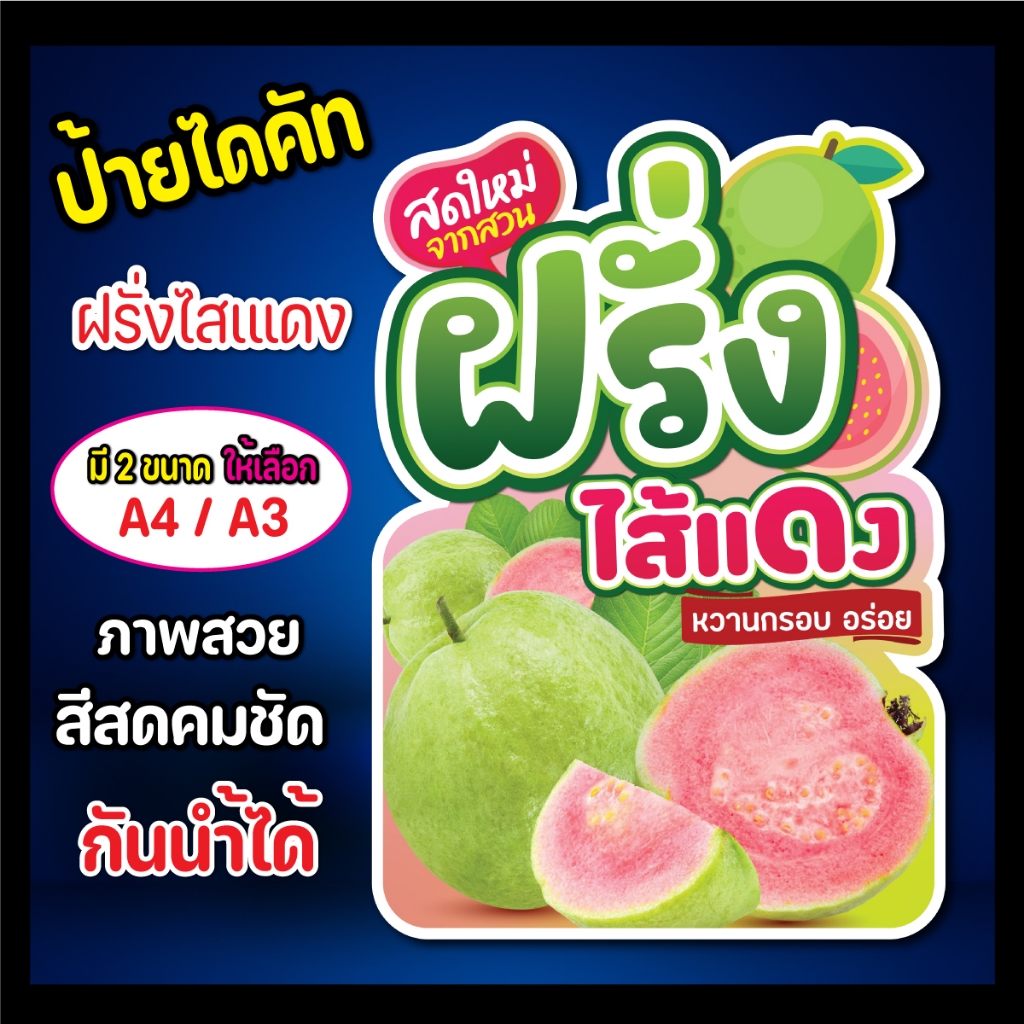 ป้ายฝรั่ง ฝรั่งกิมจู ฝรั่งไส้แดง ป้ายฟิวเจอร์บอร์ดฝรั่ง รูปที่ 3