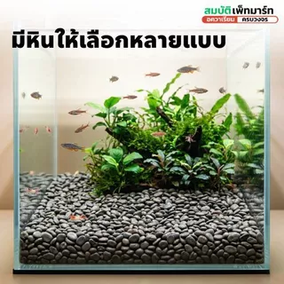 หินตกแต่งตู้ปลาและสวน ขนาด 500–1,000g. เพิ่มความสวยงามให้ตู้ปลา บ่อปลา สวนถาด กระถางต้นไม้ งานจัดสวน