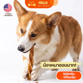 HALO ขนมสุนัข มันชี่เกลียวคลุกไก่ สำหรับสุนัขทุกสายพันธุ์ ขนมขัดฟัน ดูแลช่องปากสุนัข ฟันสะอาด เคี้ยวเพลิน