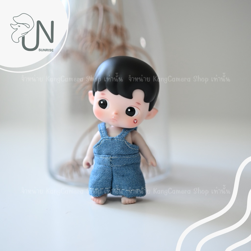 ชุดฮาชิ hacipupu enchanted realm tales ตัดเย็บตรงรุ่น รูปที่ 6