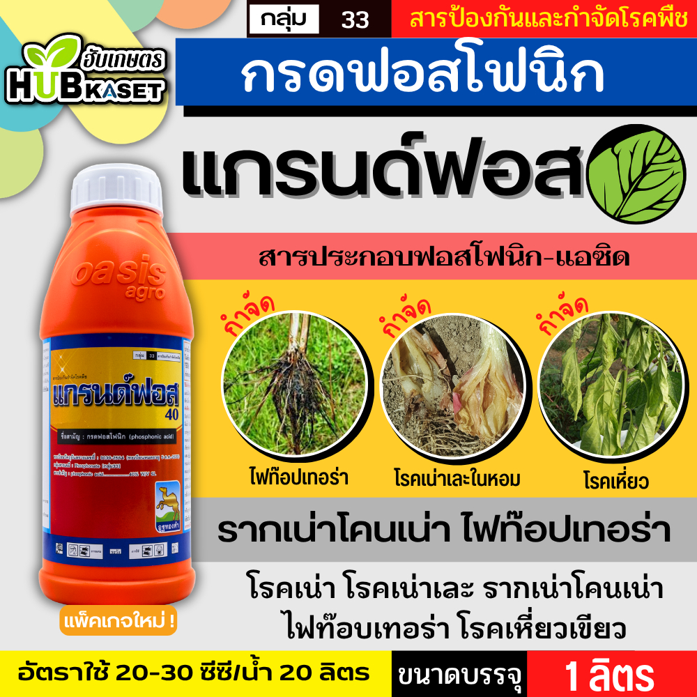 แกรนด์ฟอส 1ลิตร (ฟอสโฟนิก-แอซิด) ป้องกันเชื้อรา รากเน่าโคนเน่า ไฟท๊อปเทอร่า