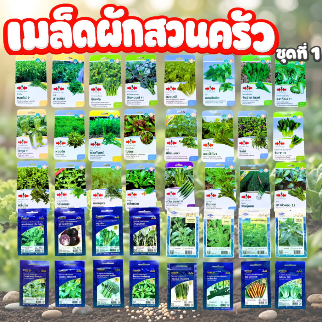 เมล็ดพันธุ์ผักสวนครัว (มากกว่า 100 ชนิด) | เมล็ดผักชี ผักบุ้ง กะเพรา โหระพา ผักสวนครัวปลูกง่าย โตไว