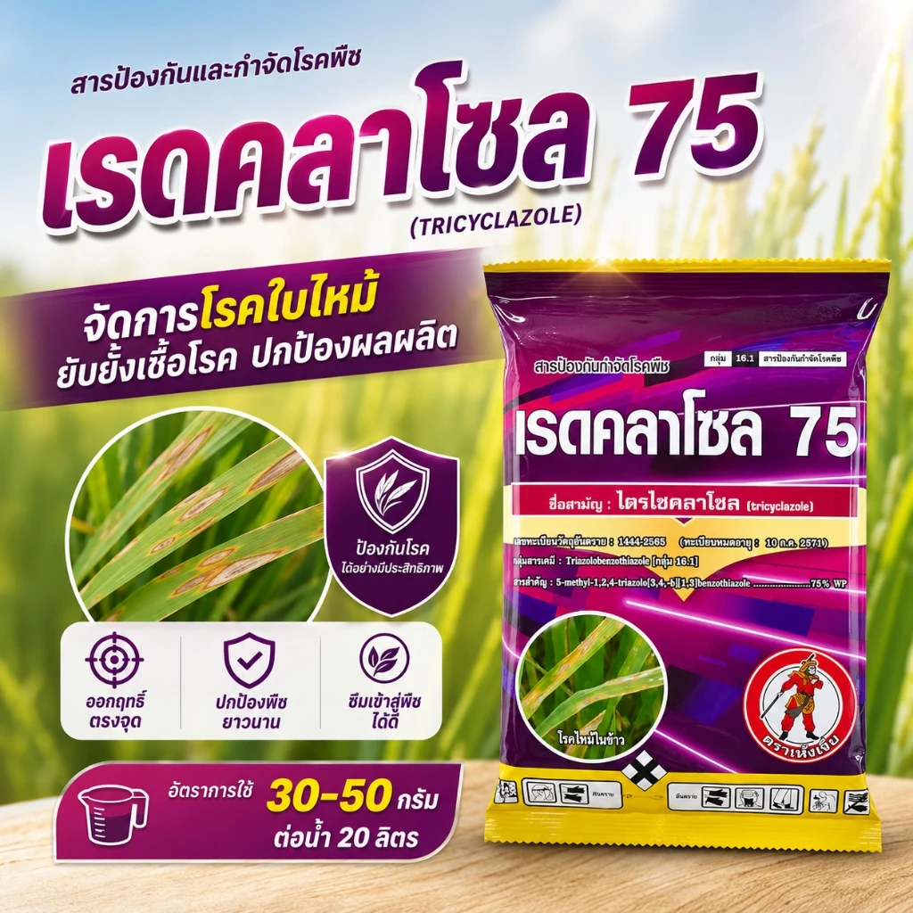 //10 ซอง// เรดคลาโซล-ไตรไซคลาโซล ( 100g) ใช้ป้องกันกำจัดโรคพืช เชื้อรา ใบไหม้ กาบใบแห้ง คอรวงแห้ง