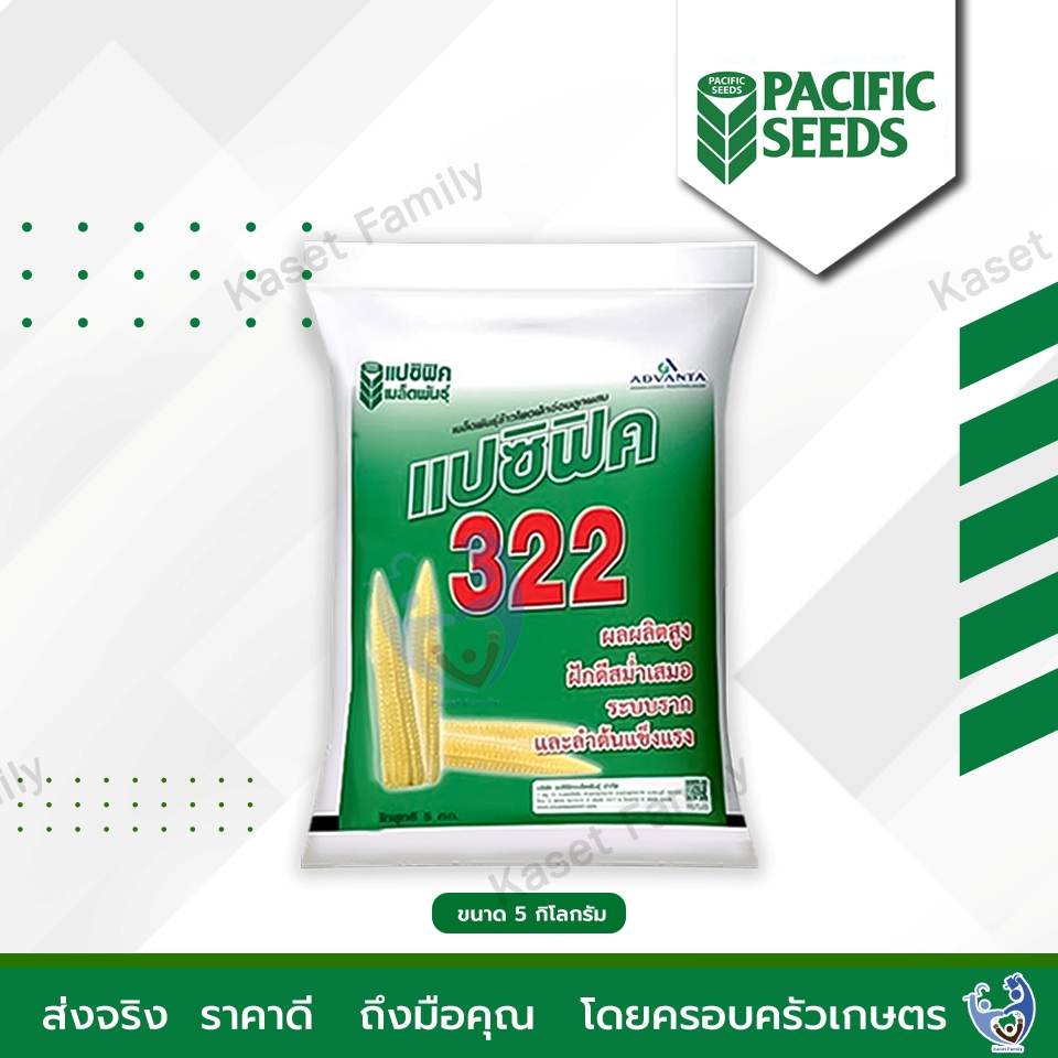 เมล็ดพันธุ์ข้าวโพด ข้าวโพดฝักอ่อน 322(3/3.5 หุน) ขนาด 5 กิโลกรัม ตราแปซิฟิค