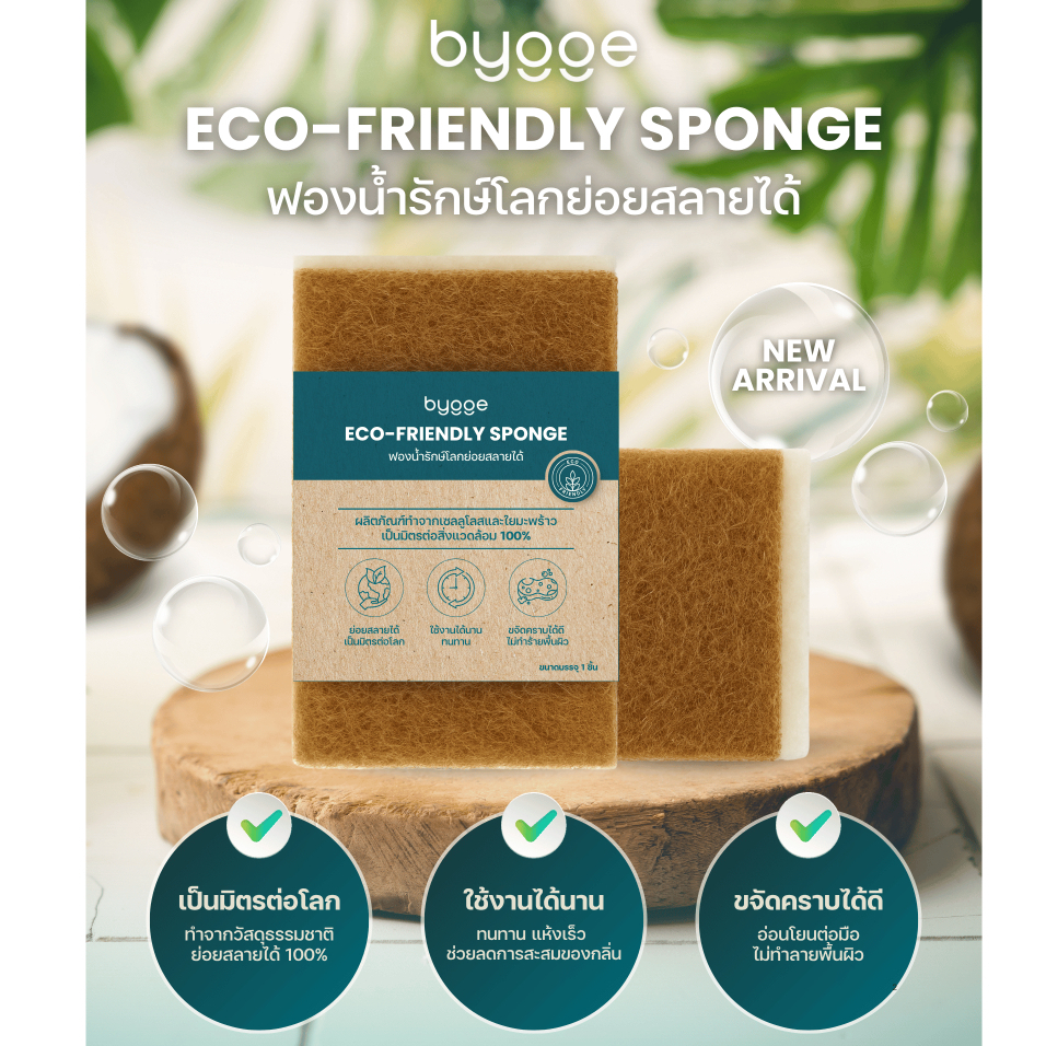 Bygge Eco-friendly Sponge ฟองน้ำรักษ์โลกย่อยสลายได้ จากใยมะพร้าวและเซลลูโลซธรรมชาติ