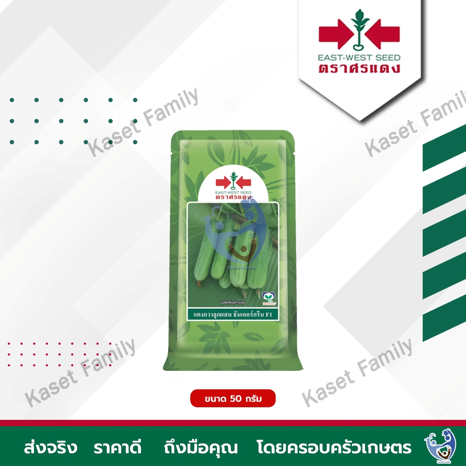 เมล็ดพันธุ์แตงกวา แตงกวาธันเดอร์กรีน ขนาด 50 กรัม / 100 กรัม ตราศรแดง