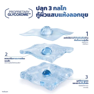 VASELINE DERMA BARRIER SERUM 30ML วาสลีน แบริเออร์ เซรั่ม 30มล
