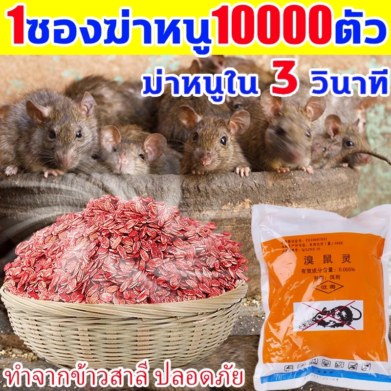 🔥ยาฆ่าหนู หนูชอบมาก เหยื่อกำจัดหนู ตายแห้ง ไม่เหม็น ยาเบื่อ นกพิราบ ใช้ได้ในบ้านและรอบบ้าน 100%ได้ผล