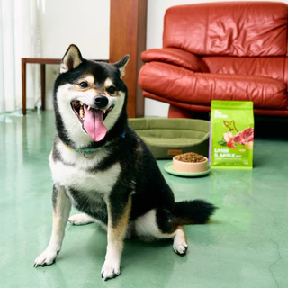 ช้อนตักอาหารสัตว์เลี้ยงจาก The Dog Dining