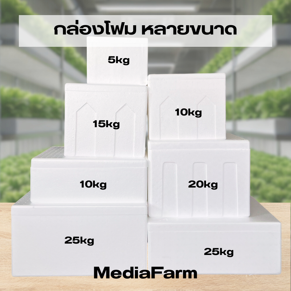 กล่องโฟมเก็บความเย็น น้ำหนักเบา ทนทาน