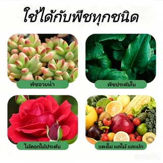 ปุ๋ยอินทรีย์เม็ด ปุ๋ยรองพื้นอินทรีย์เม็ด บำรุงดิน บำรุงราก เร่งการเจริญเติบโต เพิ่มผลผลิต ไม่ทำลายสิ่งแวดล้อม