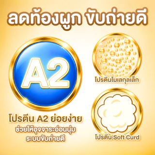 นมเเพะ งาดำ 1 ลัง (24 กล่อง) สำหรับผู้ใหญ่ ผู้สูงวัย- สูตรเเคลเซียมสูง สารอาหารสูง ขับถ่ายดี- นมเเพะ Smart Goat GOLD