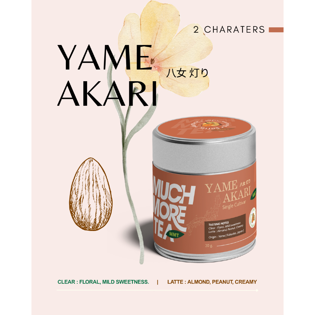 Yame Akari l ALMOND, PEANUT, CREAMY , MUCHMORETEA, MATCHA