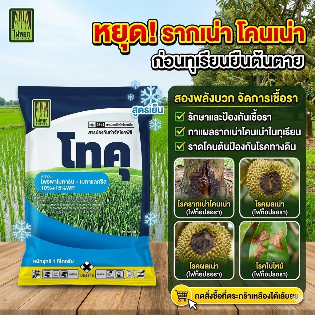 โพรพาโมคาร์บ+เมทาแลกซิล (โทคุ) ขนาด 1 กิโลกรัม สูตรเย็น ผ่าดอกได้  เก่งเรื่องเน่าในผลไม้ รากเน่าโคนเน่า ไฟทอป ฟิวซาเรียม