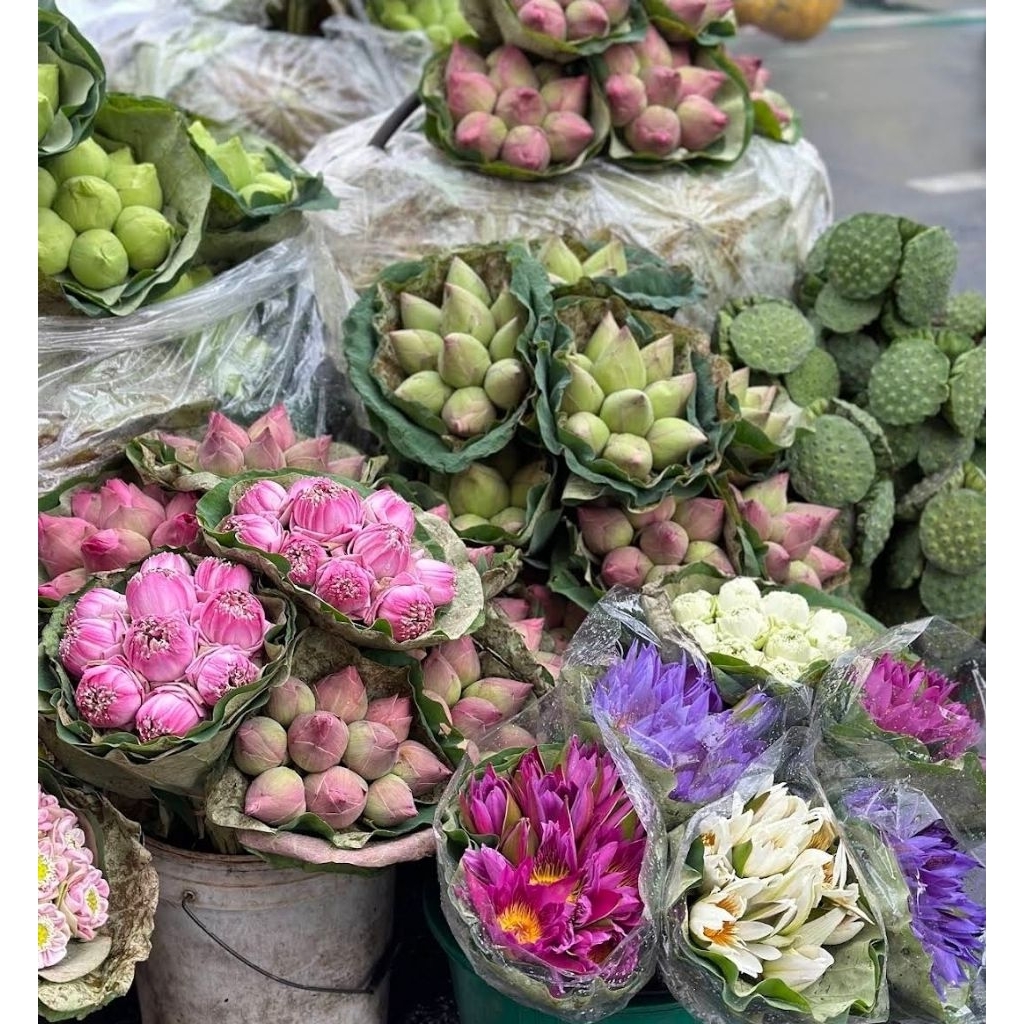 ส่งด่วนได้ค่ะ ดอกบัวสด สีชมพู สีขาว แบบไม่พับ