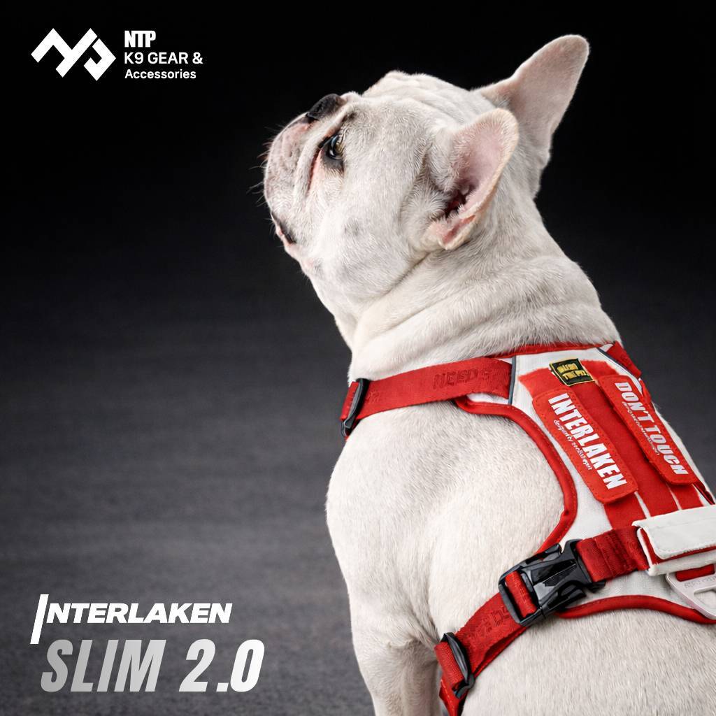 NTP สายรัดอกสุนัข Interlaken Slim 2.0 Harness