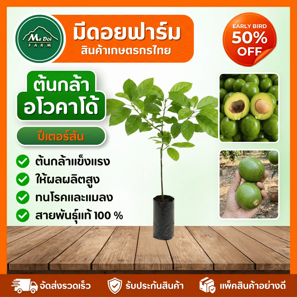 ต้นพันธุ์อโวคาโด้ ปีเตอร์สัน (Peterson) แท้ 100% ต้นกล้าเสียบยอดพรีเมียม โตไว พันธุ์เบาทนร้อน พร้อมปลูก
