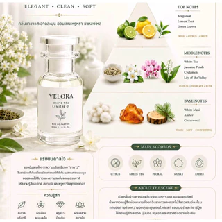 TopChoice VELORA Perfume น้ำหลม Velora (เวโร ร่า) กลิ่น perica (เพอร์ริก้า) ขนาดทดลอง 2-10 ml