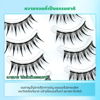 Dreehalo ขนตาปลอมแกนดำ ลุคการ์ตูนญี่ปุ่น ตาโตชัด ขึ้นกล้องสวย เบาไม่หนักตา F312