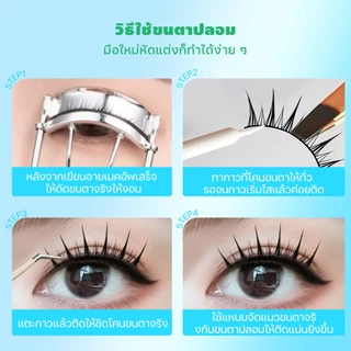 Dreehalo ขนตาปลอมแกนดำ ลุคการ์ตูนญี่ปุ่น ตาโตชัด ขึ้นกล้องสวย เบาไม่หนักตา F312