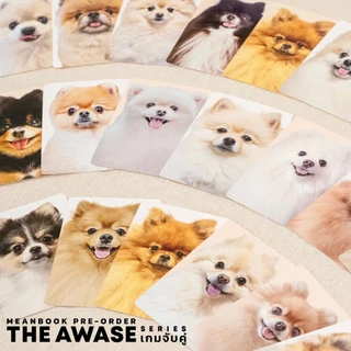 [แถมฟรีคู่มือไทย] เกมจับคู่แมวดำ / เกมจับคู่ปอม / เกมจับคู่พุดเดิ้ล The Awase Series Board Game [G1]