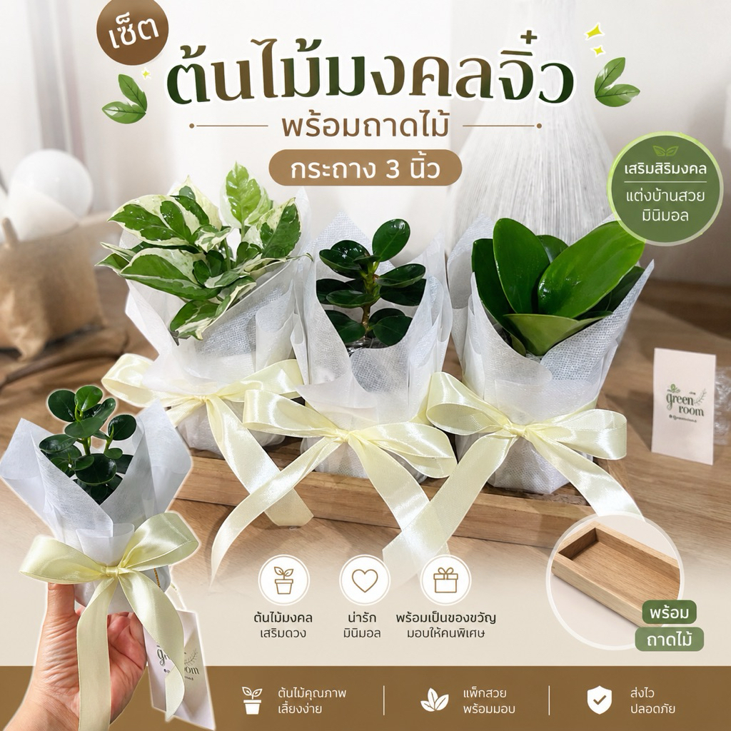 ชุดต้นไม้มงคลเล็ก ของขวัญ แต่งบ้าน (ต้นไม้จริง) แพ็ค3ต้นพร้อมถาดไม้