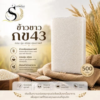 ข้าวขาวกข43 ตราทรัพย์ธนา แพ็คทดลอง 500 กรัม เหมาะสำหรับลองชิมก่อนสั่งขนาดใหญ๋