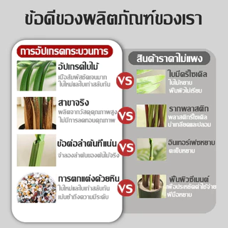 ต้นไม้ปลอม ต้นไม้มงคล แถมฟรี กระถางดอกไม้และหินประดับ ต้นไม้ประดิษฐ์คุณภาพสูงสไตล์นอร์ดิก สำหรับตกแต่งบ้านและสวน