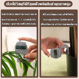 ต้นไม้ปลอม ต้นไม้มงคล แถมฟรี กระถางดอกไม้และหินประดับ ต้นไม้ประดิษฐ์คุณภาพสูงสไตล์นอร์ดิก สำหรับตกแต่งบ้านและสวน