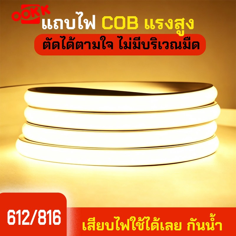ไฟแถบนีออน ไฟเส้น LED Neon Flex 612/816 ตัดได้ เสียบไฟใช้ได้เลย กันน้ำ IP65 ประดับตกแต่ง