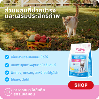 [ของขวัญพิเศษ]MR.Vet E1 อาหารแมวพรีเมียม – Triple Omega Complex™ เพื่อขนเงางาม สุขภาพผิวดี ด้วยปลาแซลมอนและไก่ โปรต