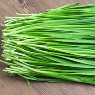 เมล็ดพันธุ์ กุยช่าย ประมาณ200เมล็ด Chives Seeds [ 10 เเถม 1 คละได้ ]