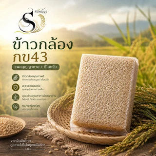 ข้าวกล้องกข43 หอมนุ่ม 1กิโลกรัม ตราทรัพย์ธนา